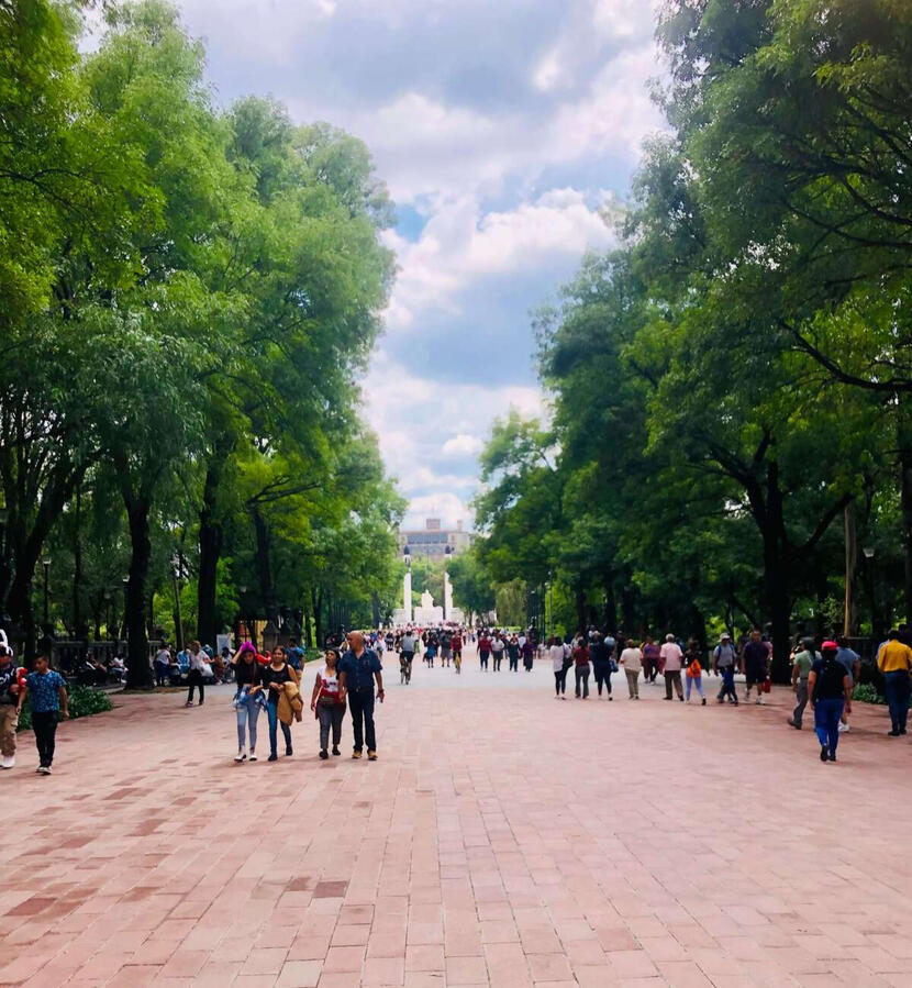 Chapultepec Park Experience People walking in Bosque de Chapultepec, Mexico City's iconic park, during a cultural walking tour.